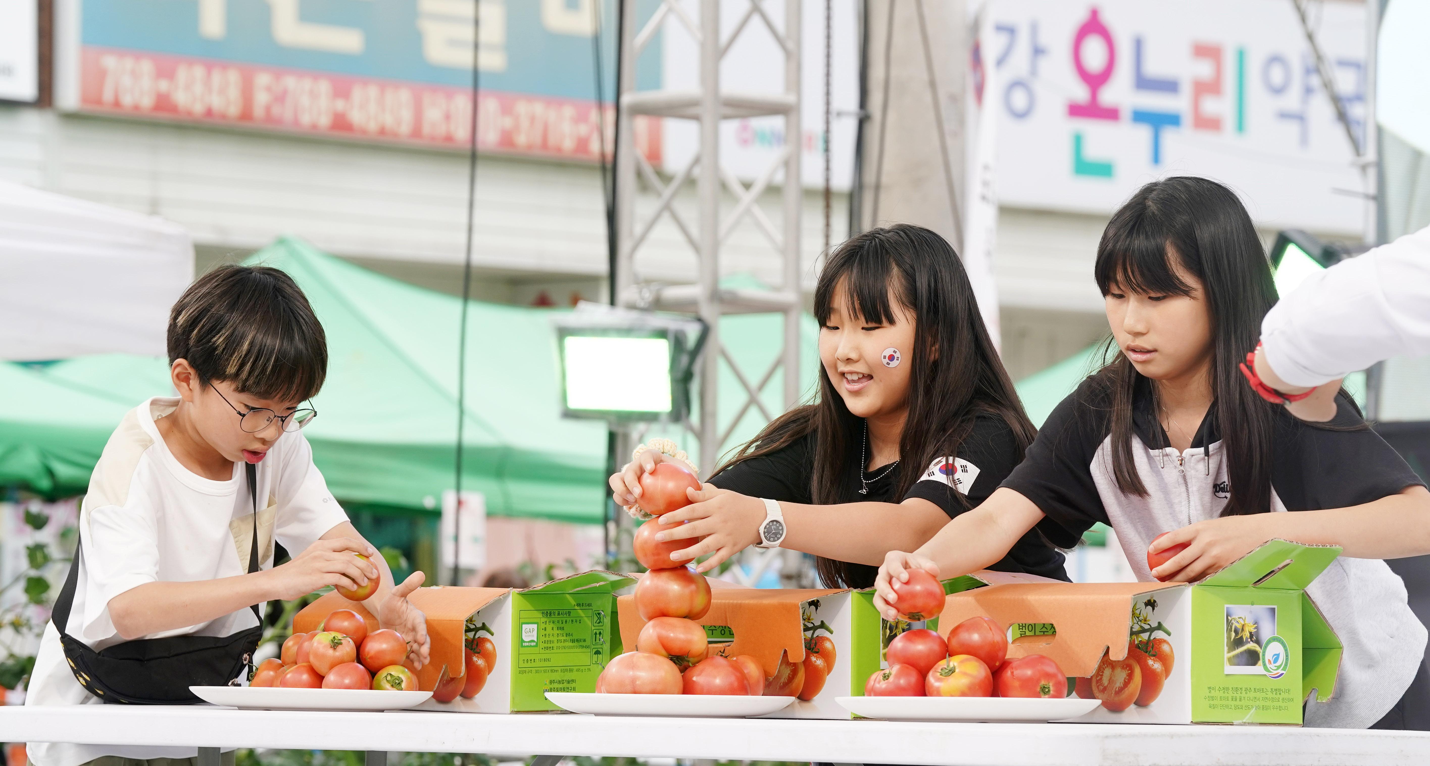 제23회 퇴촌토마토거리축제 사진모음