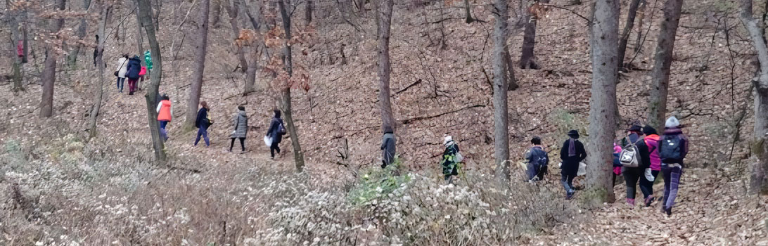 곤지암베리팜 전경5