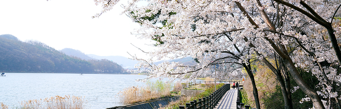 중대물빛공원 전경3