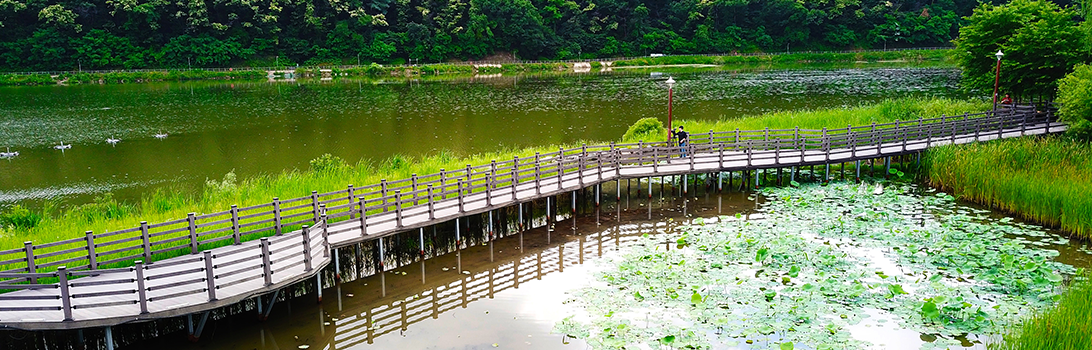 중대물빛공원 전경6