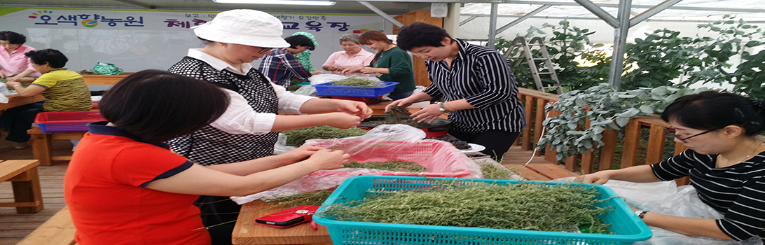 오색향농원 전경8