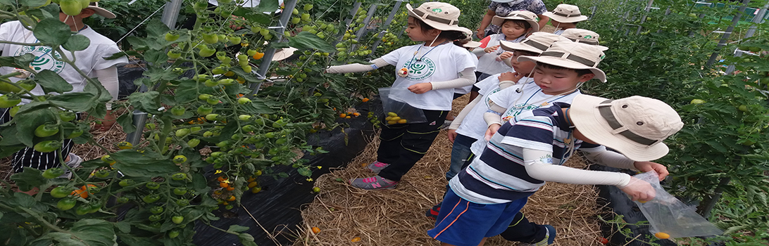 유정뜰농원 전경7